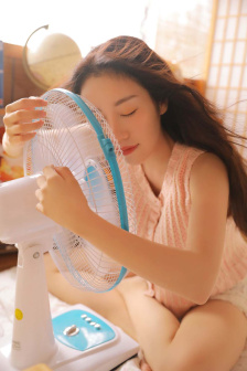 灿烂的花园综艺免费观看